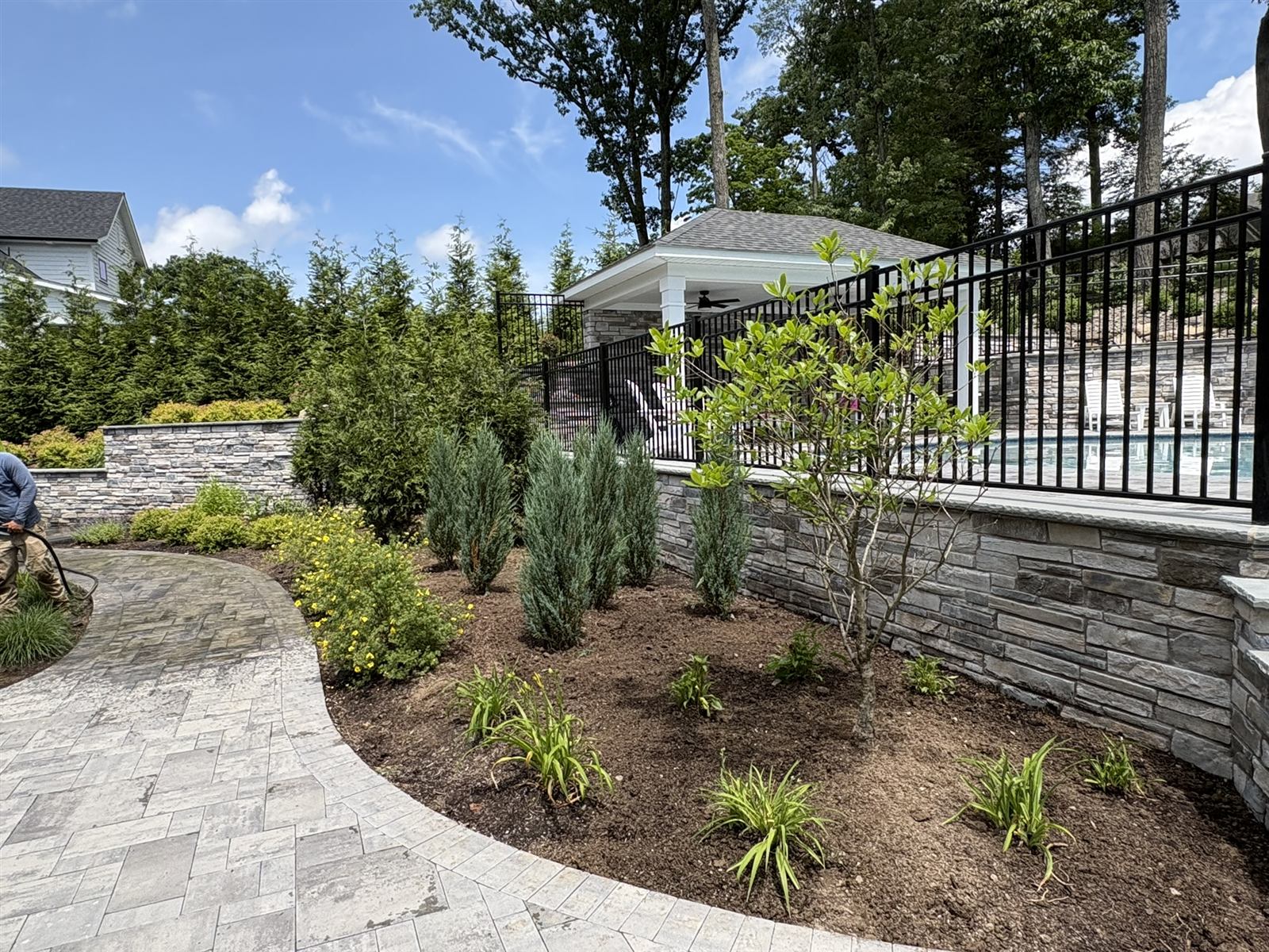 Pool House Privacy Planting
