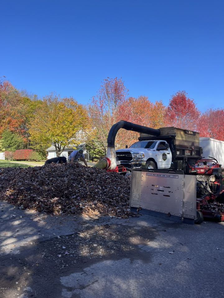Fall Leaf Removal