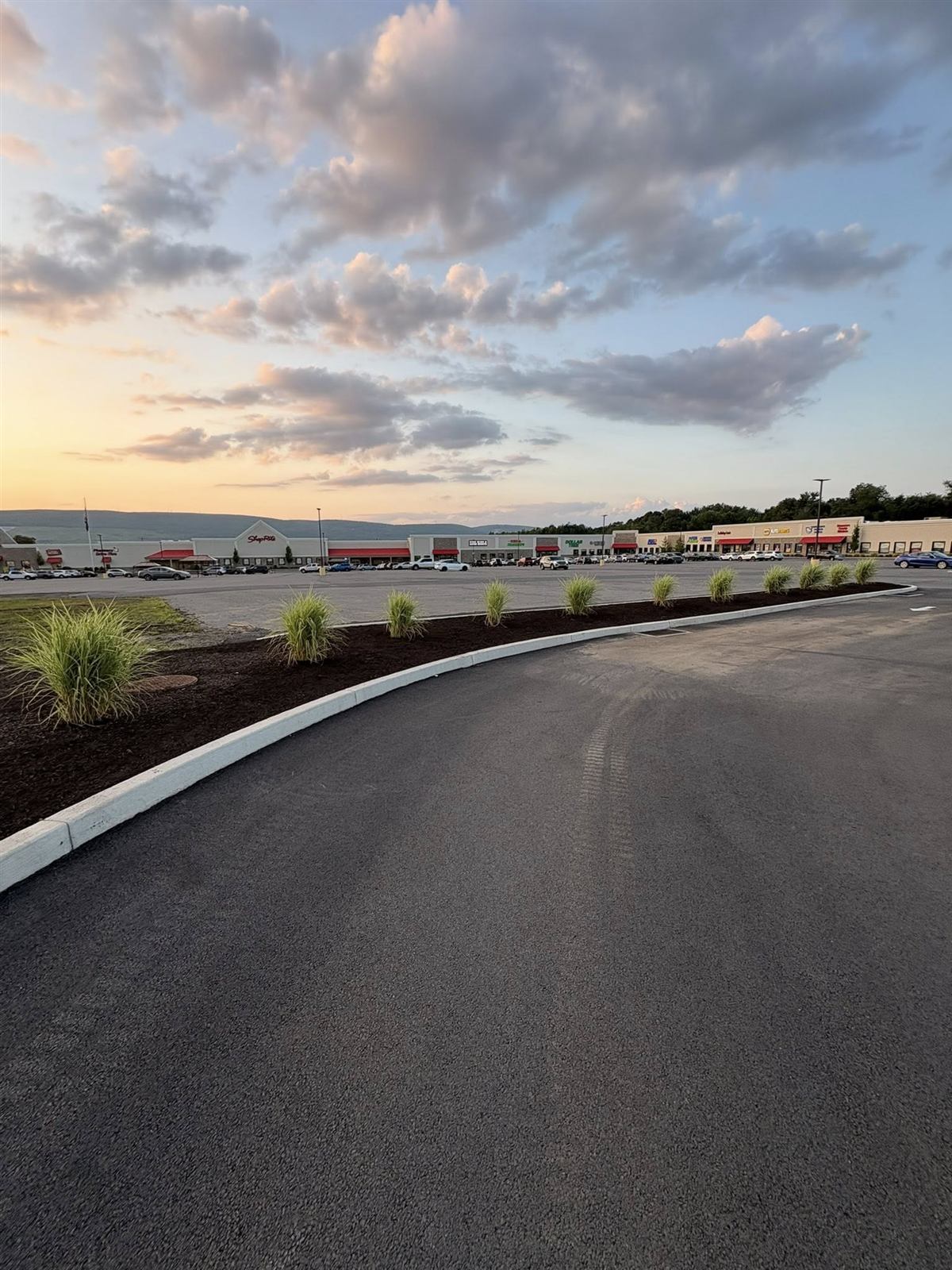 Commercial Plaza Ornamental Grasses